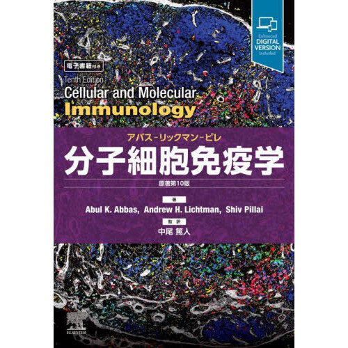分子細胞免疫学 アバス―リックマン―ピレ 分子細胞免疫学 原著第10版 アバス-リックマン-ピレ | Abul K