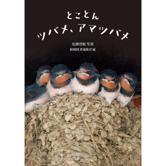 とことんツバメ、アマツバメ