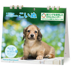 ミニカレンダーこいぬ２０２６