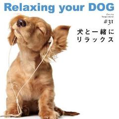 音のサプリメント＃31　犬と一緒にリラックス