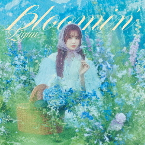 ֥ͥåȥåԥ󥰤㤨bloominǡפβǤʤ2,640ߤˤʤޤ