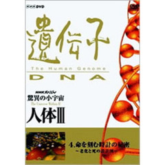 NHKスペシャル 驚異の小宇宙 人体 III 遺伝子 DNA 第4集 命を刻む時計の秘密 ～老化と死の設計図～（ＤＶＤ）