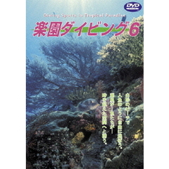 Sea of The World 楽園ダイビング 6 Great Barrier Reef Cruise（ＤＶＤ）