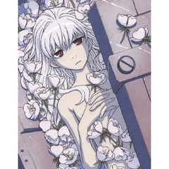 DARKER THAN BLACK －流星の双子－ 4（Ｂｌｕ－ｒａｙ）