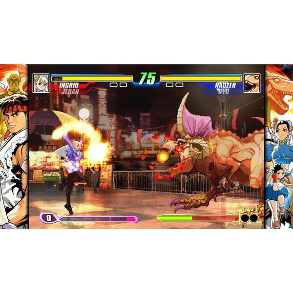 Nintendo Switch カプコン ファイティング コレクション2 通販