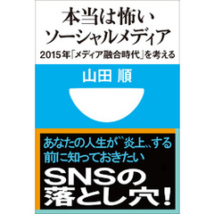 本当は怖いソーシャルメディア　2015年「メディア融合時代」を考える(小学館101新書)