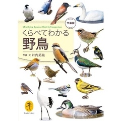 ヤマケイ文庫　くらべてわかる野鳥　文庫版