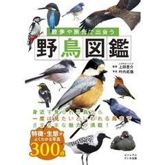 散歩や旅先で出会う野鳥図鑑
