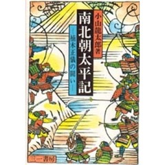 南北朝太平記　楠木正儀の闘い