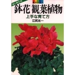 鉢花観葉植物　上手な育て方