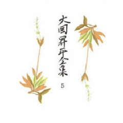 大岡昇平全集　５