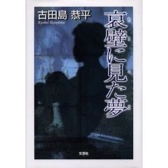 哀壁に見た夢