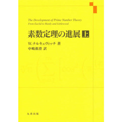 素数定理の進展　上