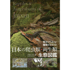 日本の爬虫類・両生類生態図鑑　見分けられる！種類がわかる！