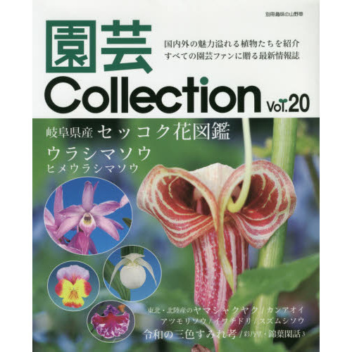 園芸ｃｏｌｌｅｃｔｉｏｎ ｖｏｌ ２０ 岐阜県産セッコク花図鑑 ウラシマソウ ヒメウラシマソウ 通販 セブンネットショッピング
