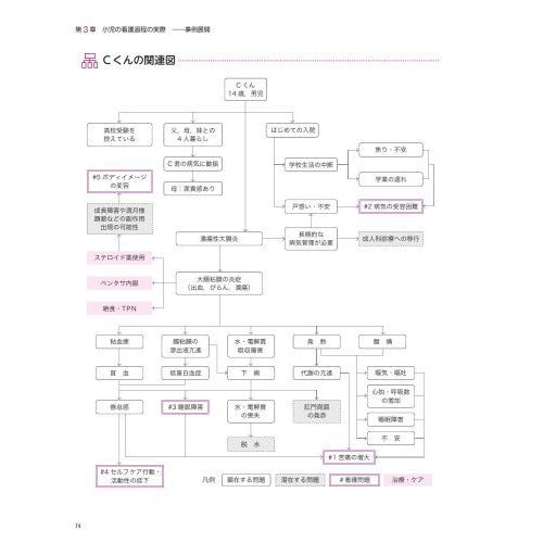 発達段階を考えたアセスメントにもとづく小児看護過程　第２版