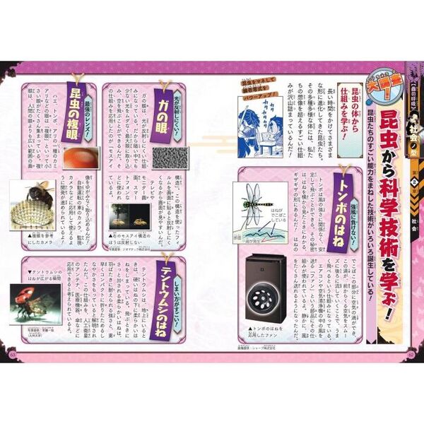 マコトカガク研究団　ゆるゆる図鑑　キメツ学園 全集中ドリル　科学クイズドリル マコトカガク研究団 ゆるゆる図鑑 キメツ学園 全集中ドリル 科学