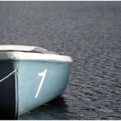 Wakes　on　Cerulean