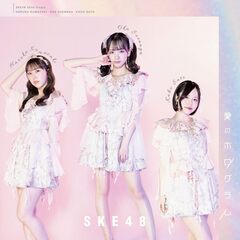 SKE48SHOP 通販｜セブンネットショッピング