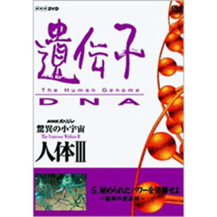 NHKスペシャル 驚異の小宇宙 人体 III 遺伝子 DNA 第5集 秘められたパワーを発揮せよ ～精神の設計図～（ＤＶＤ）