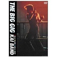 甲斐バンド／THE BIG GIG（DVD） 通販｜セブンネットショッピング