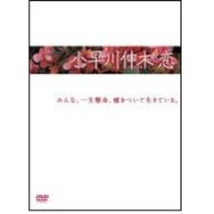 小早川伸木の恋　DVD－BOX（ＤＶＤ）
