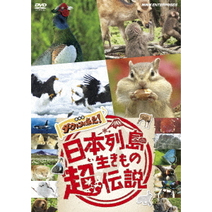 日本列島生きもの超伝説 劇場版ダーウィンが来た！（ＤＶＤ） 通販