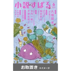 小説すばる (雑誌お取置き)1年12冊