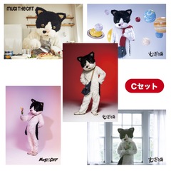 むぎ（猫）／ずっとアイドル！むぎブロマイド/Cセット