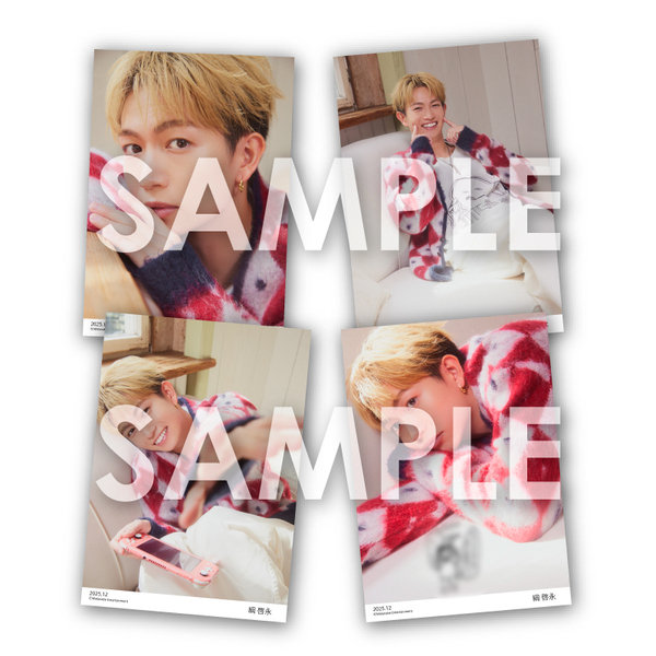 ֥ͥåȥåԥ󥰤㤨WEե֥ޥɥå?2025ǯ12?˷ʡפβǤʤ800ߤˤʤޤ