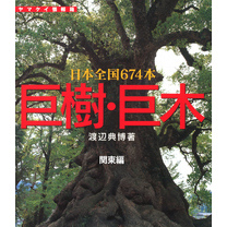 巨樹・巨木　関東編　132本