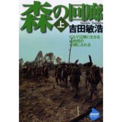 森の回廊　上