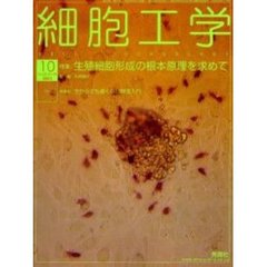 細胞工学　２００３－１０　特集生殖細胞形成の根本原理を求めて