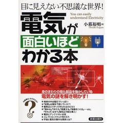 電気が面白いほどわかる本　目に見えない不思議な世界！
