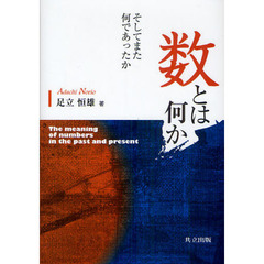 数とは何か　そしてまた何であったか