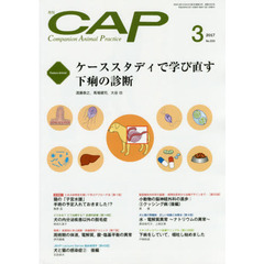 ＣＡＰ　３３３