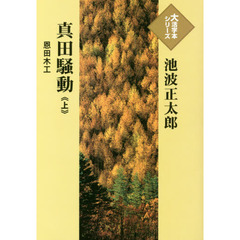 真田騒動　恩田木工　上