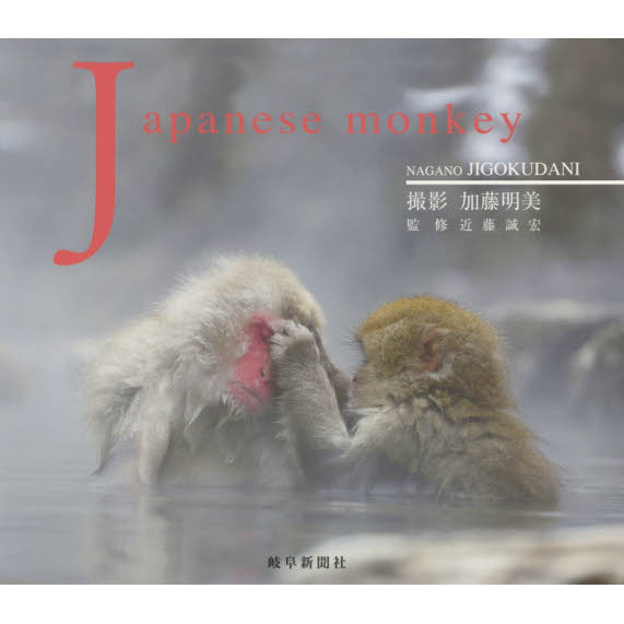 セブンネットショッピングで買える「Japanese monkey 長野地獄谷」の画像です。価格は2,037円になります。