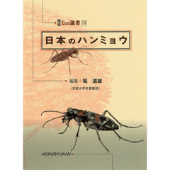 日本のハンミョウ