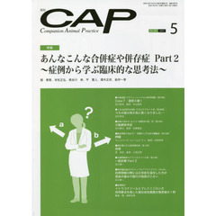 ＣＡＰ　３８３