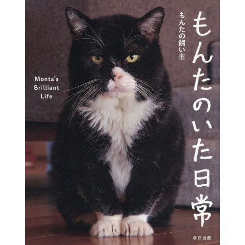 もんたのいた日常 通販｜セブンネットショッピング