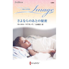 さよならのあとの秘密