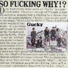 ֥ͥåȥåԥ󥰤㤨SOFUNCKINWHYפβǤʤ523ߤˤʤޤ