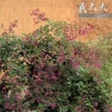 義太夫