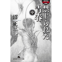 禁じられた青春（中）