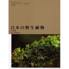 日本の野生植物　コケ