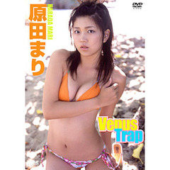 ＤＶＤ　原田まり　ヴィーナストラップ
