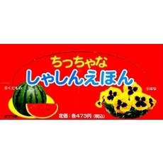 ちっちゃなしゃしんえほん８～９　２点各４