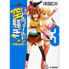 バトルフィールドは空騒ぎ！　３　蒼空の終末