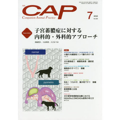 ＣＡＰ　３２５